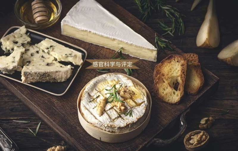 微信图片_20250422173017