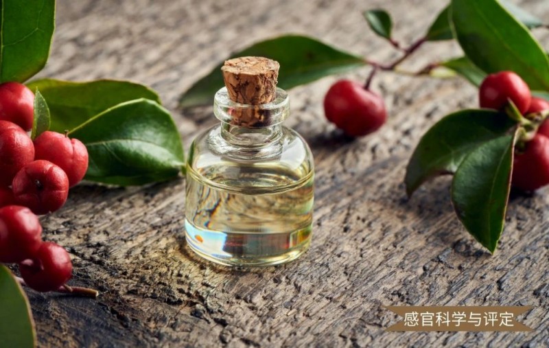 微信图片_20250424103507