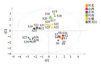 微信图片_2025-11-21_170513_031