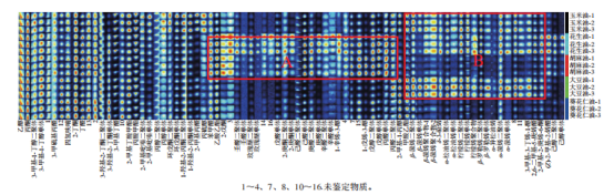 微信图片_2026-01-27_151027_866